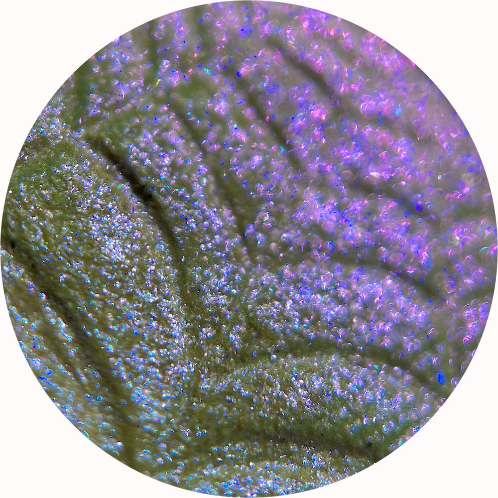 A WIDOW’S VEIL - TouchofGlamBeauty