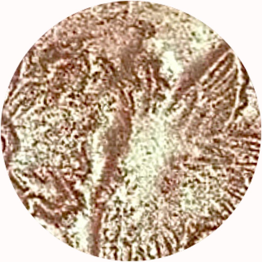 BLING BLING HONEY - TouchofGlamBeauty