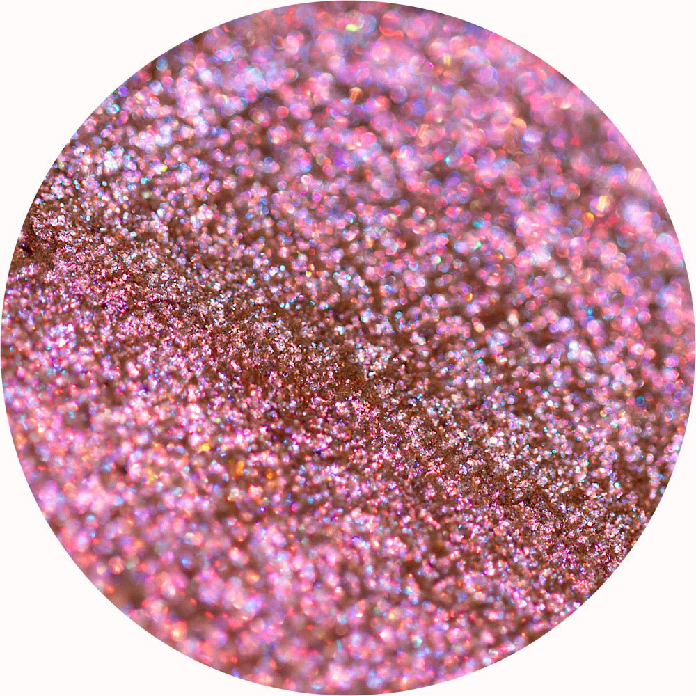 KITTENS EVERYWHERE - TouchofGlamBeauty